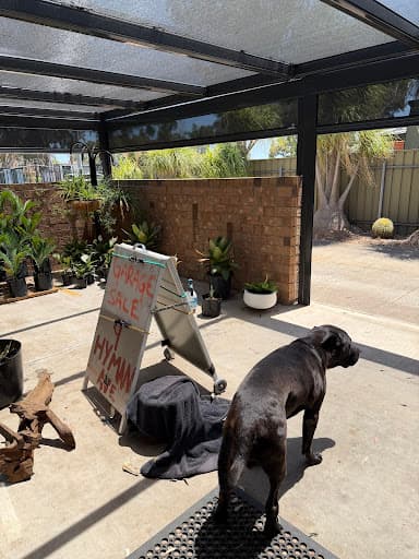 Adelaide Distinct Electrical — Customer photo