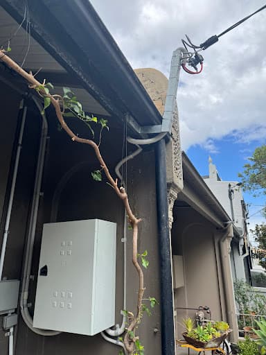Sparky Nearby — Customer photo